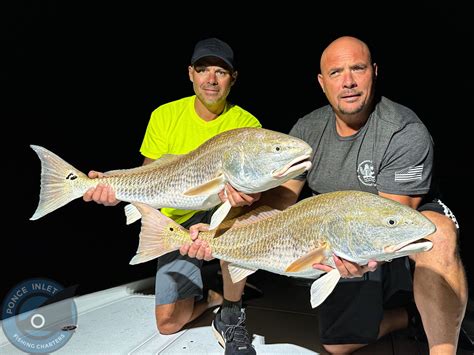 ponce inlet fishing charters rates